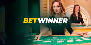 Understanding the Features of Bookmaker Betwinner