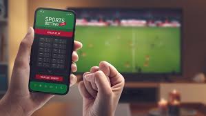 Everything You Need to Know About Zaka Bet