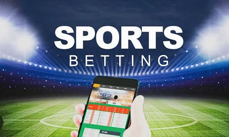 Everything You Need to Know About Zaka Bet