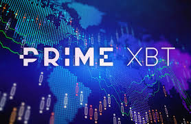 Exploring the PrimeXBT Online Trading Platform 6